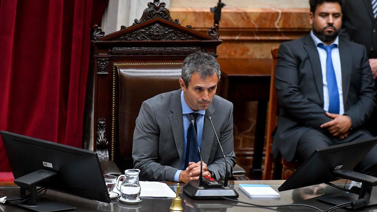 Juraron los nuevos Diputados y eligieron a Martín Menem como presidente de la Cámara
