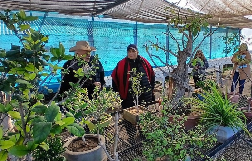Ishii, facultad, polo productivo, vivero municipal