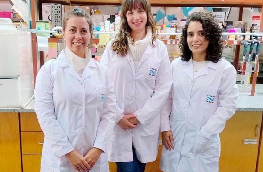 Científicas argentinas venda que acelera la cicatrización