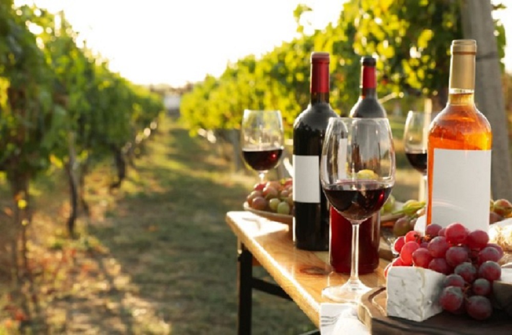 Rutas del vino bonaerense
