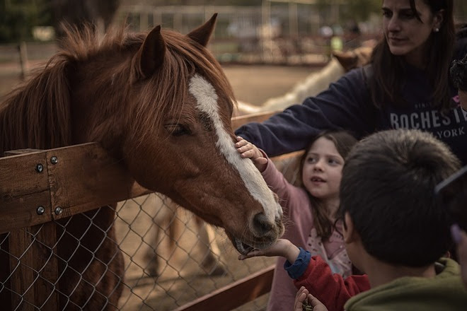 Sabores Rodantes, aniversario de Granja Don Benito y #TodosConMora eventos del Finde en Escobar