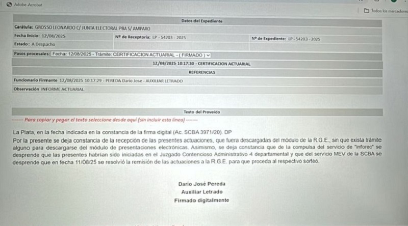 Grosso judicializó su postulación, tras la oficialización de la Junta de 9 listas de Fuerza Patria