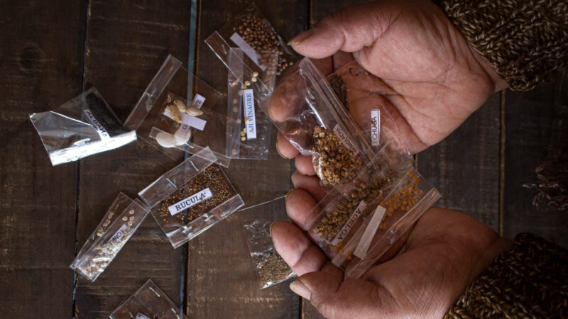 Moreno entrega Kits de semillas agroecológicas para huertas