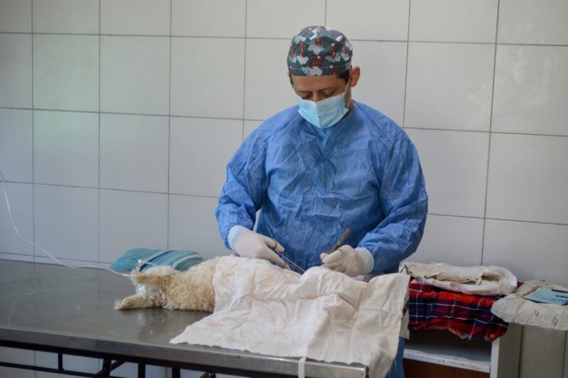 El Hospital Municipal de Zoonosis de José C. Paz se consolida como centro de referente regional en salud animal