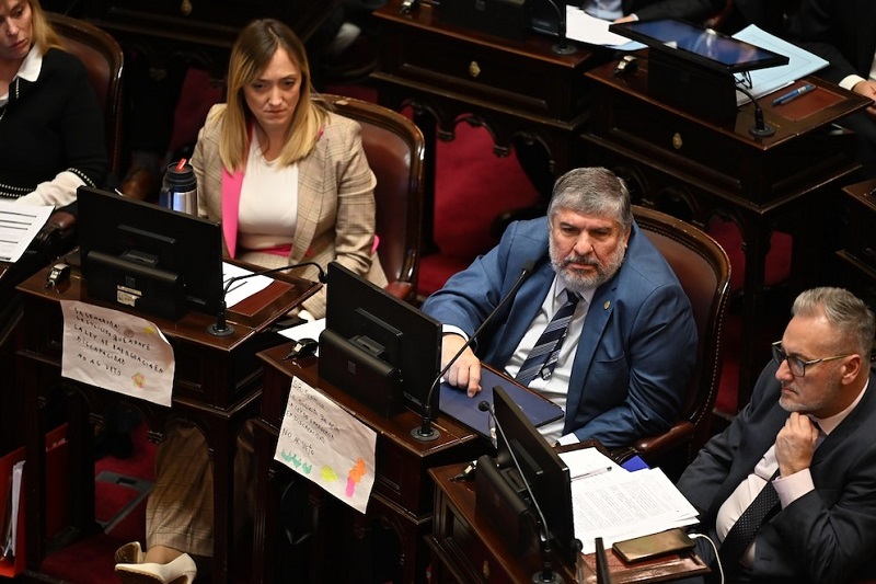 El Senado rechazó el veto de Javier Milei a la ley de emergencia en discapacidad