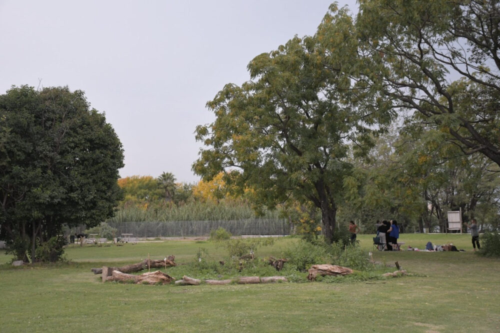 La Reserva Natural de El Palomar festeja su 2º aniversario con una gran celebración