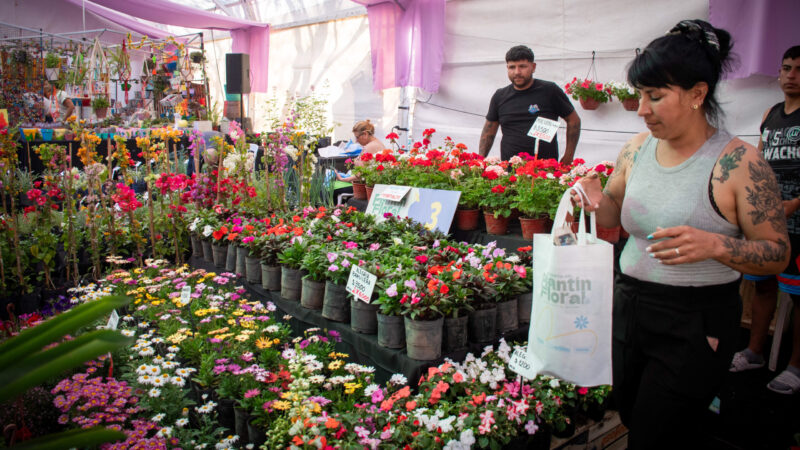 Moreno celebra la primavera con tres grandes eventos culturales en la Plaza Dr. Buján