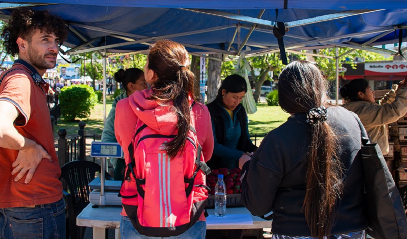 Comenzó en Moreno la “Semana de la Frutilla”