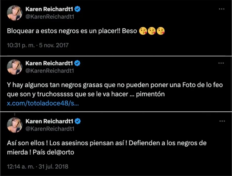 Para Karen Reichardt quienes no la votan son "enfermos mentales"