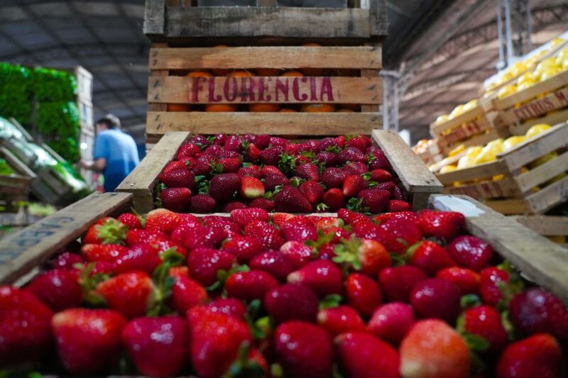 Llega a Escobar la Fiesta de la Frutilla