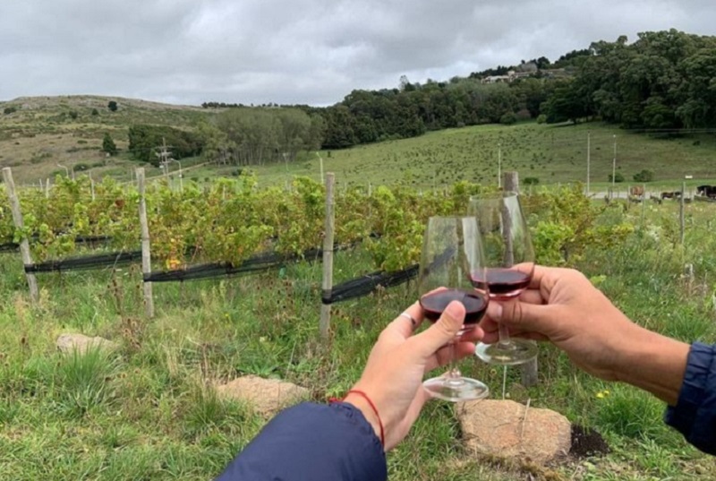 Finde largo 5 destinos en la provincia con naturaleza, termas y playas