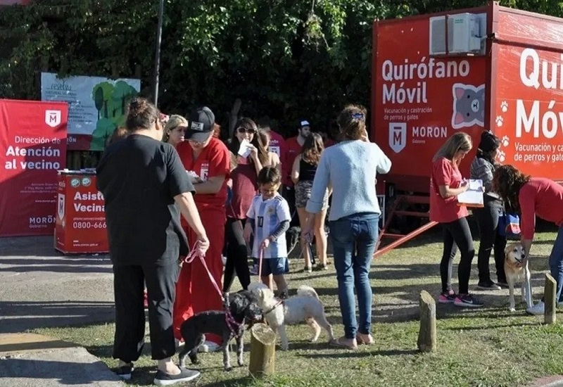 Morón realizó casi 7 mil castraciones durante 2025