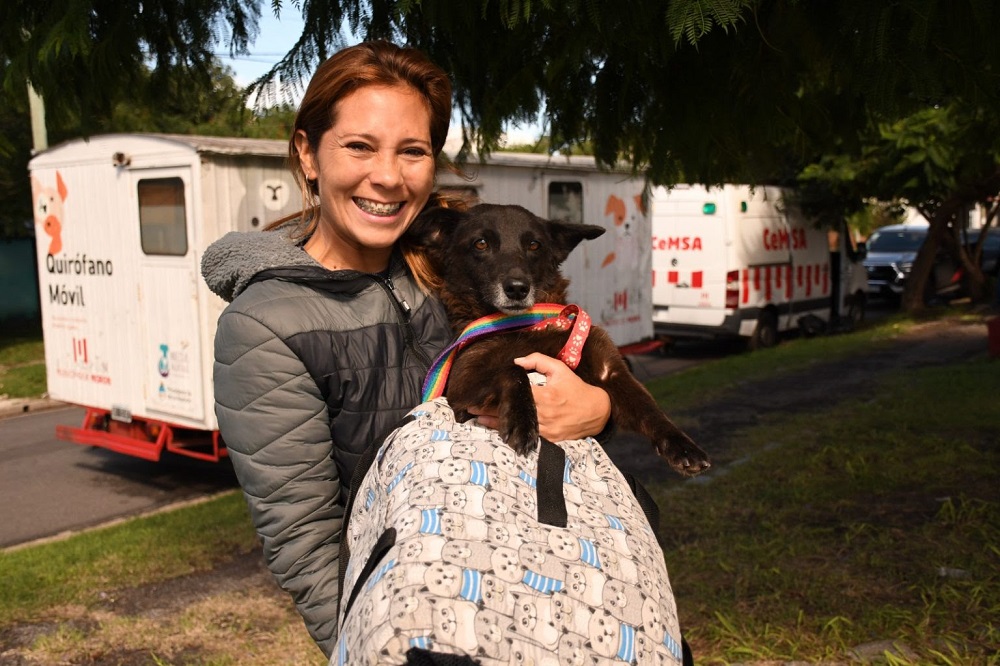 Morón realizó casi 7 mil castraciones durante 2025