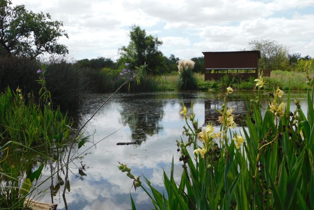 Verano en la Reserva Natural Urbana de San Miguel