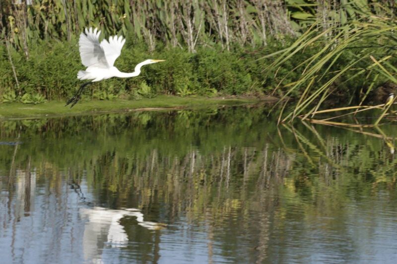 Verano en la Reserva Natural Urbana de San Miguel