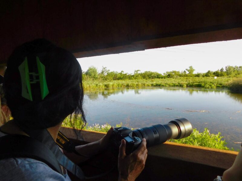 Verano en la Reserva Natural Urbana de San Miguel