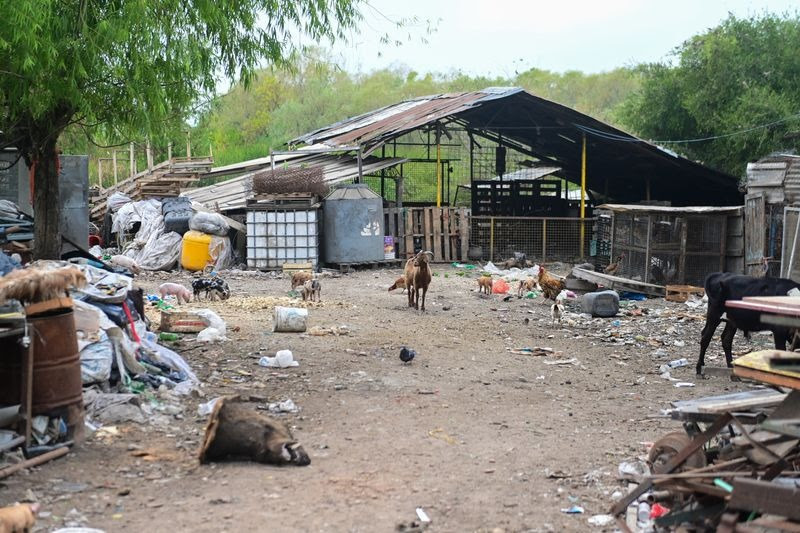 Ariel Sujarchuk “Vamos a ir con mano firme contra los delitos ambientales”