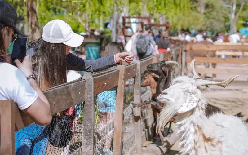 Garín Corre, la Granja Don Benito y el Parque Aéreo Aventura los eventos destacados del Finde en Escobar