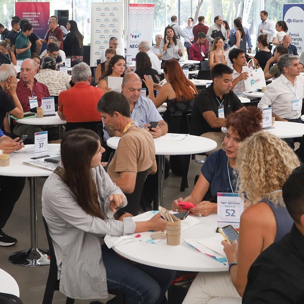 Gran caída del empleo y la capacidad instalada en las industrias de San Martín