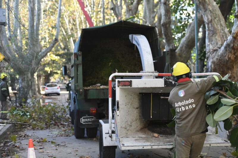 Vicente López continúa abierta la inscripción al Plan de Poda 2026