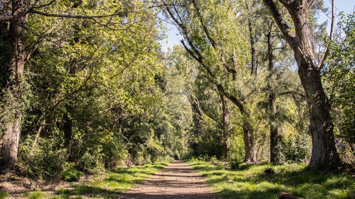Propuestas para disfrutar la temporada de otoño en Moreno