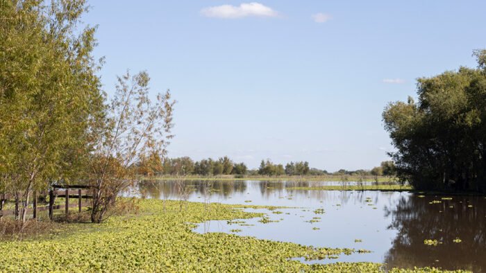 Propuestas para disfrutar la temporada de otoño en Moreno