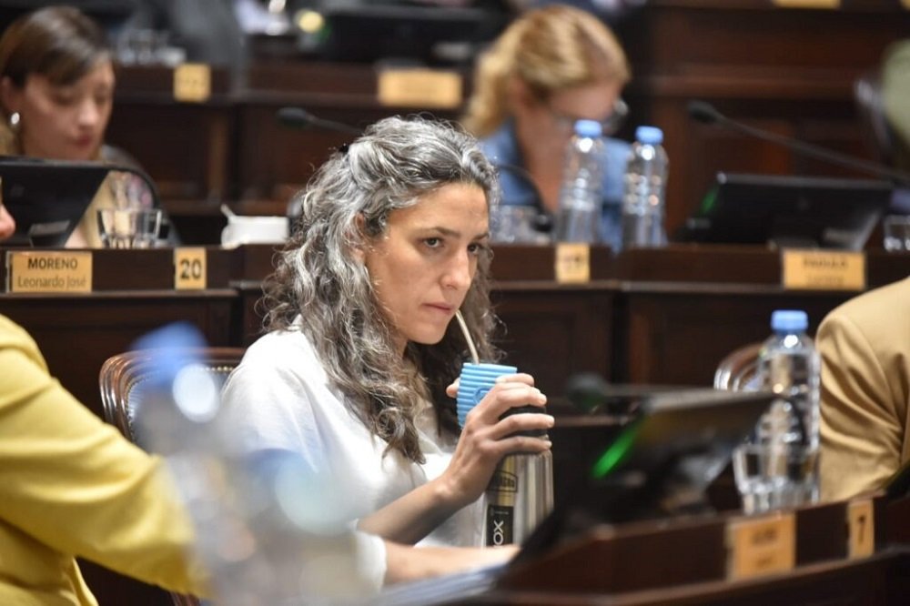 Ana Luz Balor presentó una ley para combatir el hostigamiento en las cobranzas