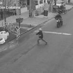 Tigre Cruce indebido casi le cuesta la vida