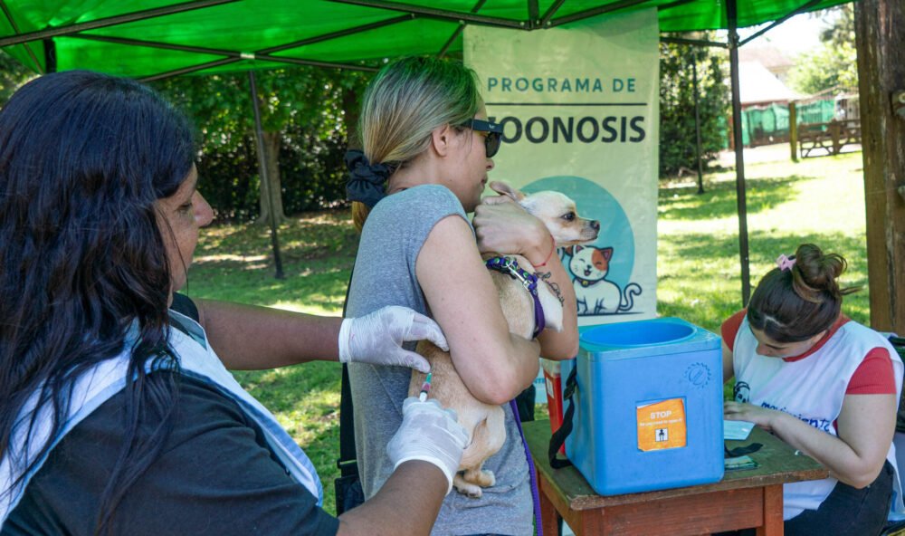 En Moreno se realizarán operativos de castración y vacunación antirrábica de perros y gatos