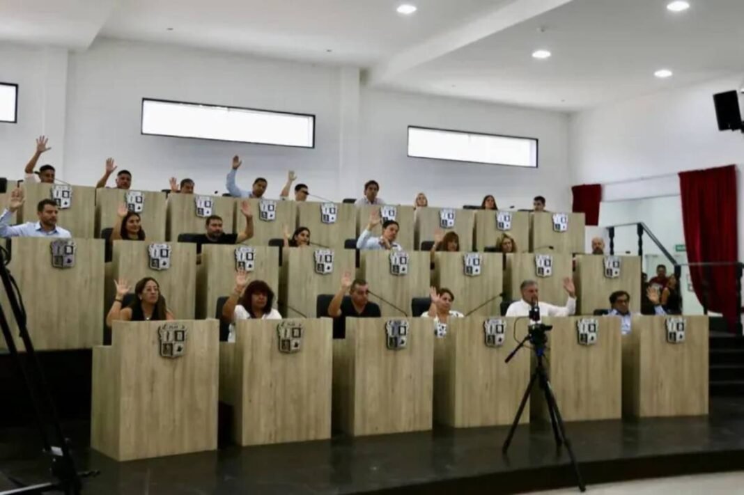 Pilar - Ficha Limpia libertarios en contra