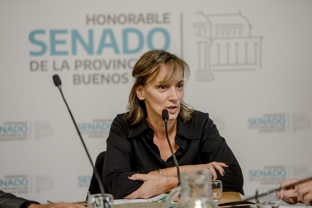 Galmarini - Reforma Política
