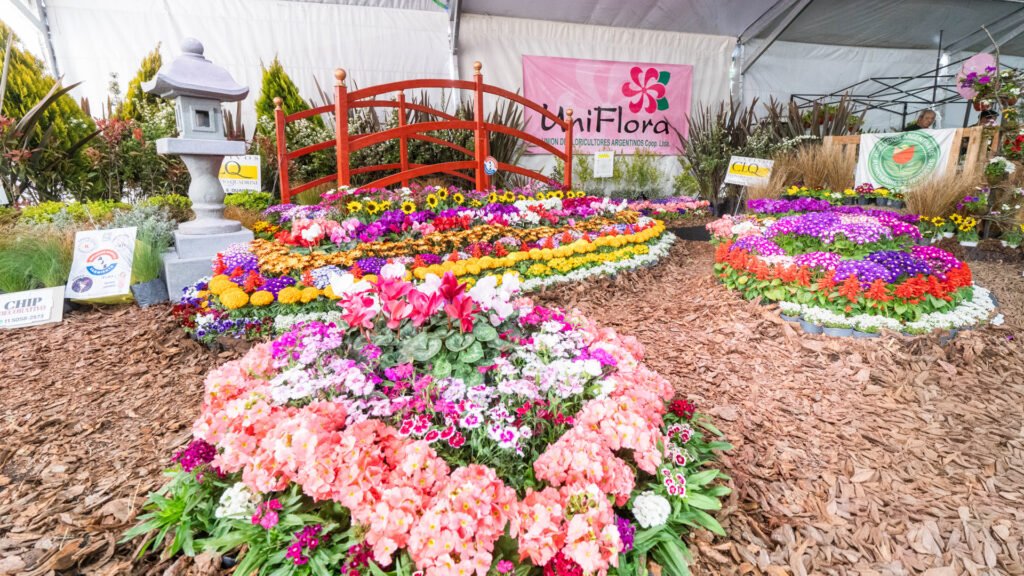 Más de 35 mil personas participaron de la Fiesta del Plantín Floral