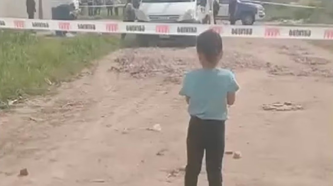 Merlo - bebe muerto