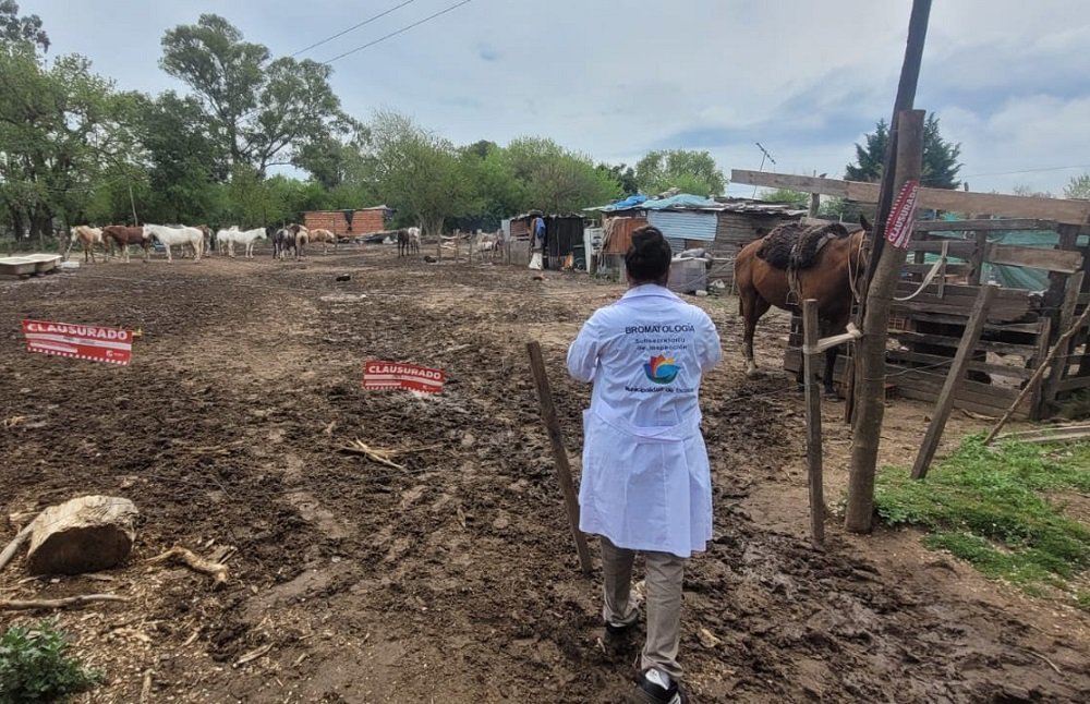 Clausuraron un predio en El Cazador por funcionar sin habilitación