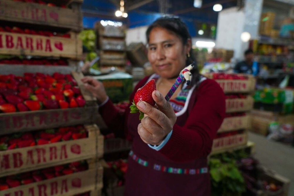 Escobar celebra la segunda edición de la Fiesta de la Frutilla