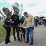 La Ciudad impulsa un sistema de identificación de perros y gatos