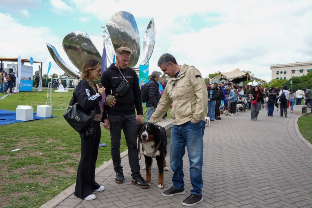 La Ciudad impulsa un sistema de identificación de perros y gatos