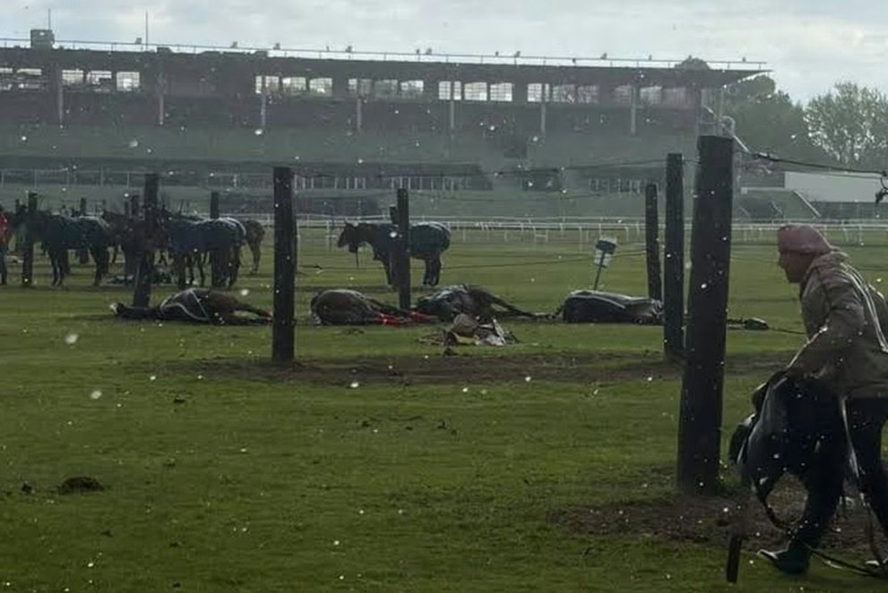 Rayo - Jockey CLub - San Isidro - caballos