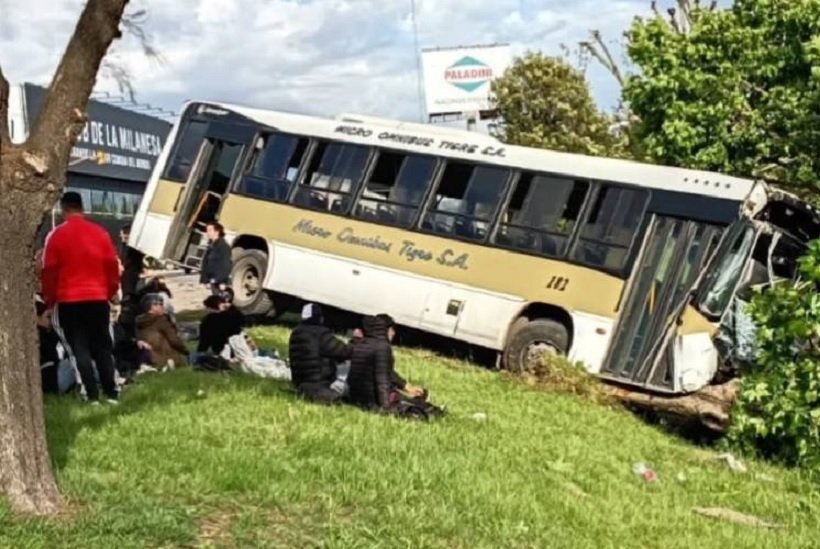 EL talar - colectivo - zanjon-