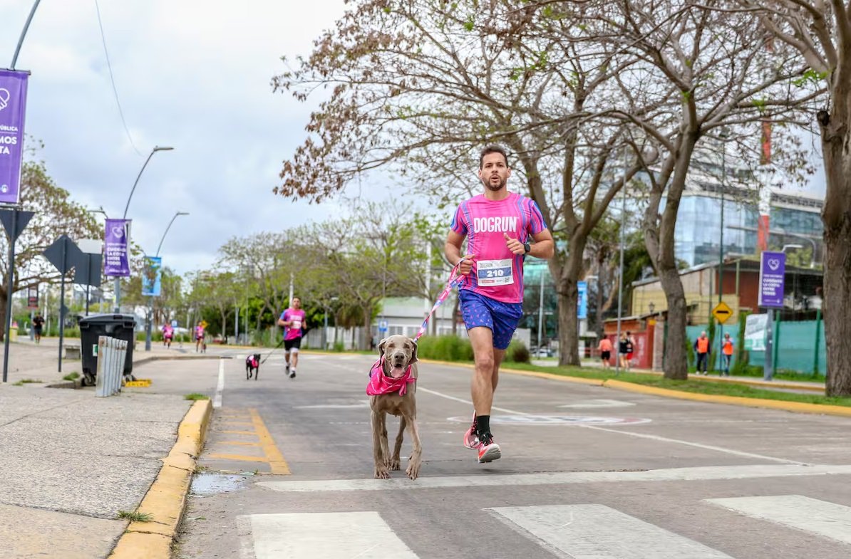 DOGRUN 2026 - Vicente López