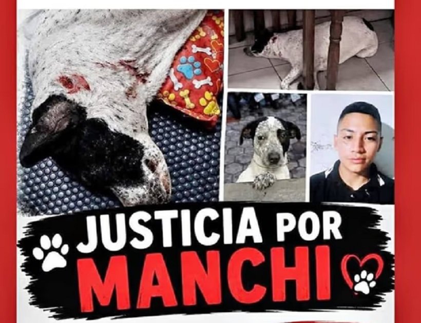 Policía Mató Perra Manchita informenorte.com.ar