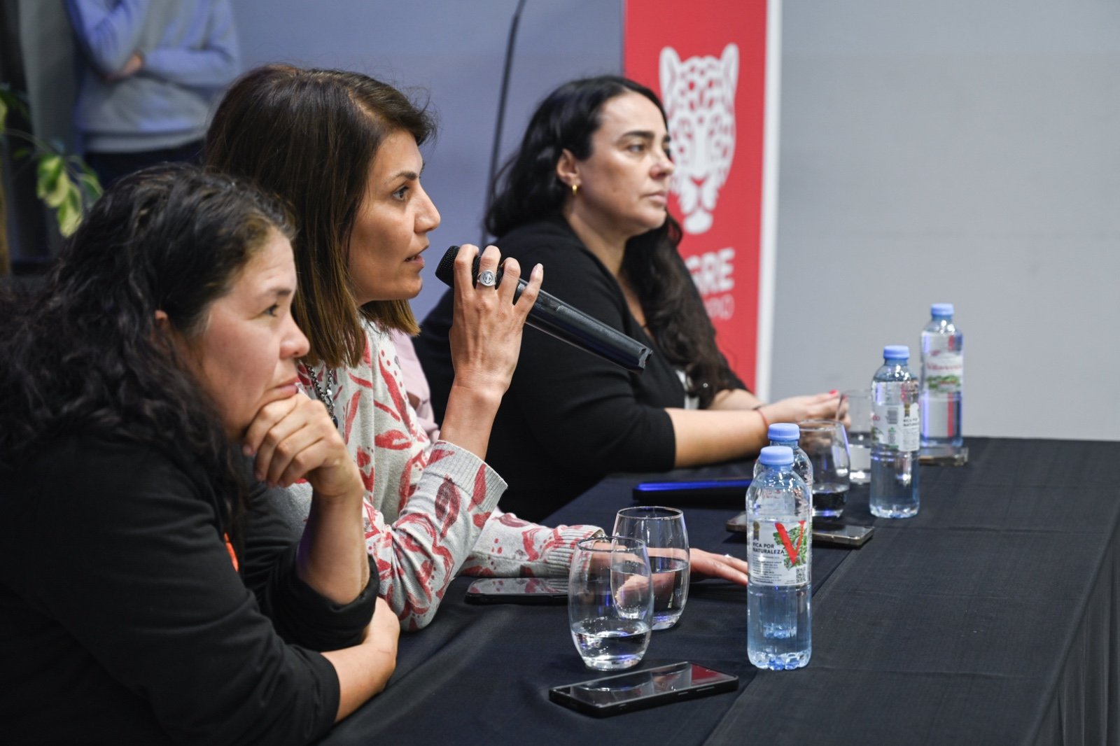 Tigre - Consejo de Mujeres - gisela zamora